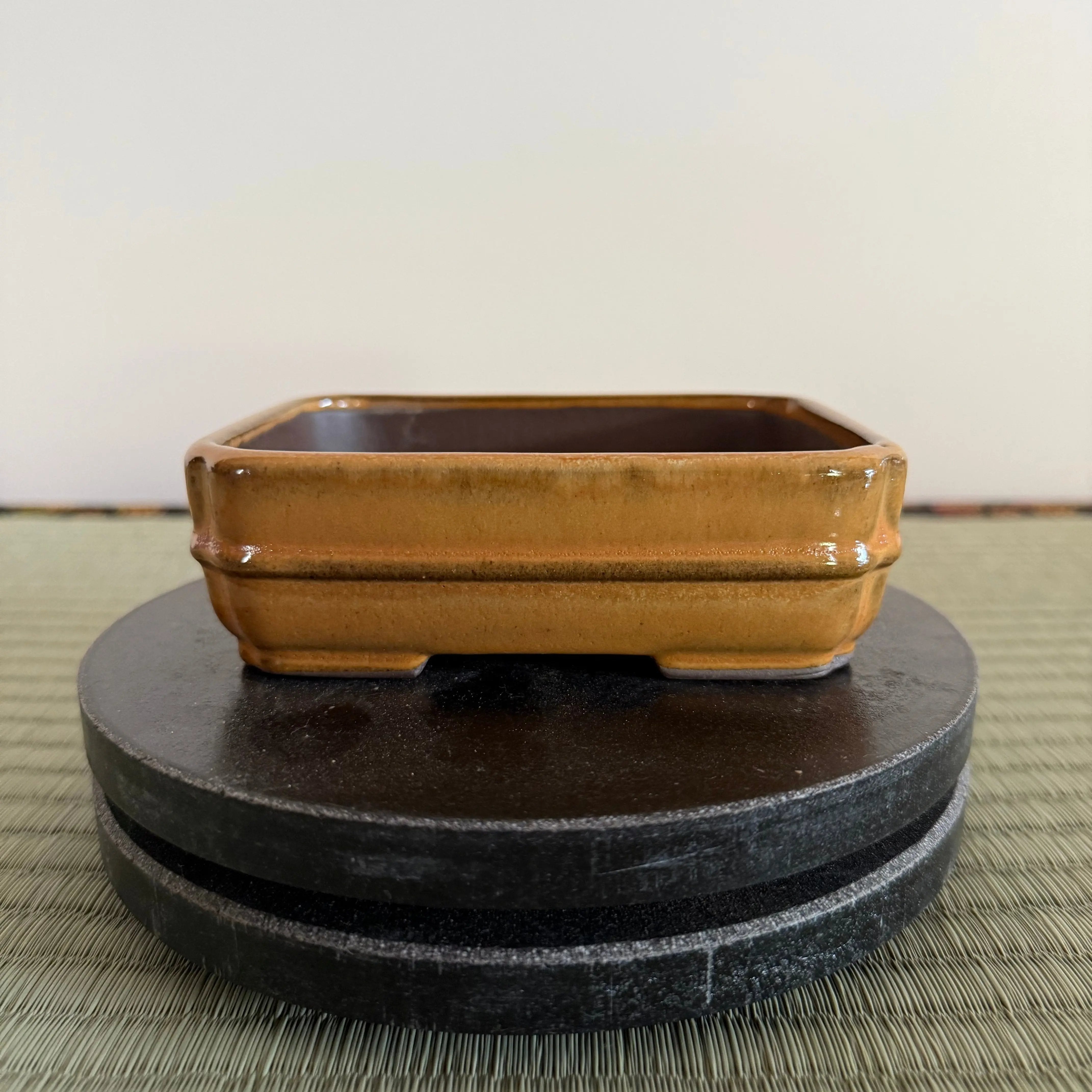 Bonsai Pot Canada Bonsai