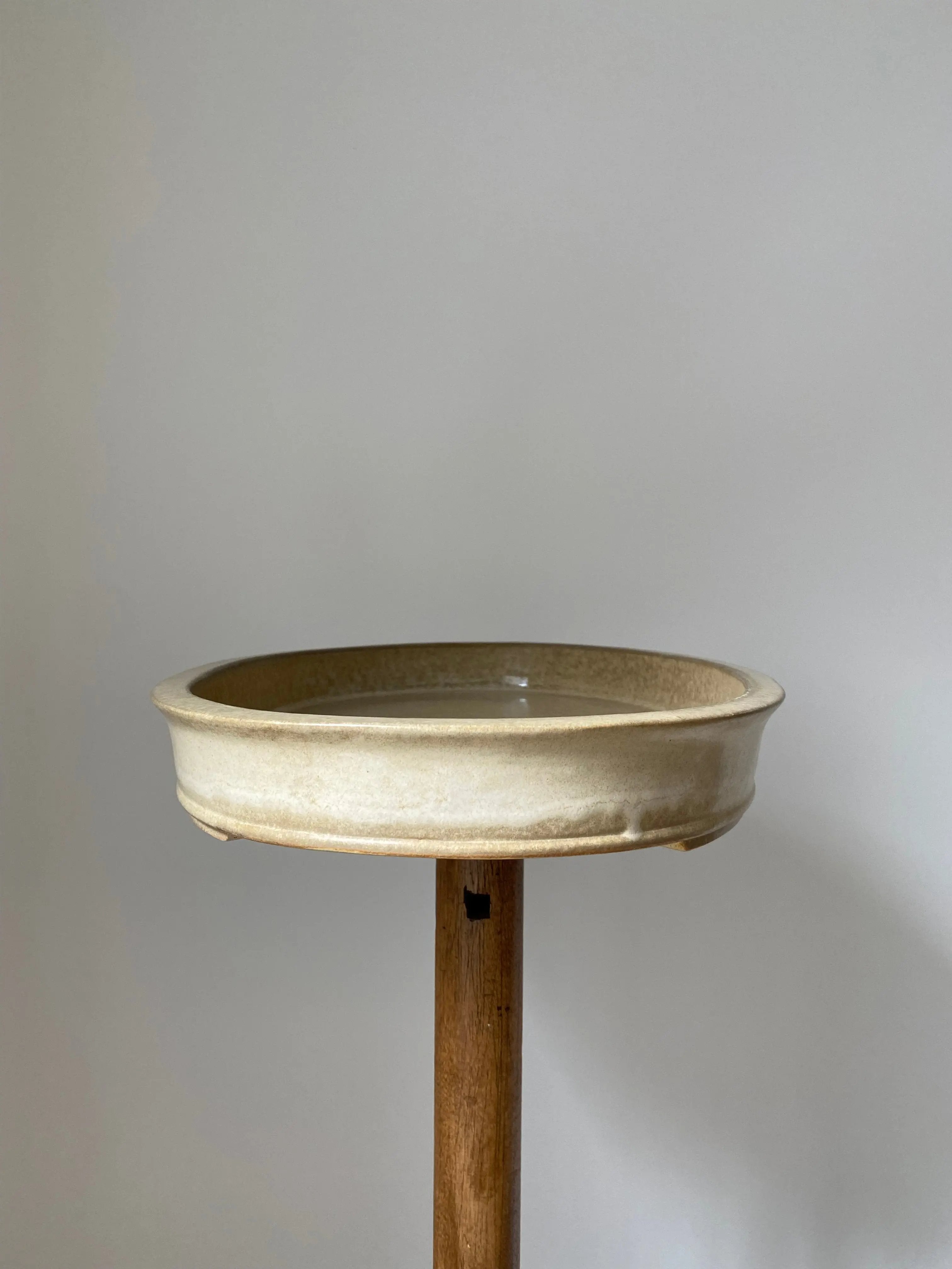 Koyo (Suiban) #40 CB Pots